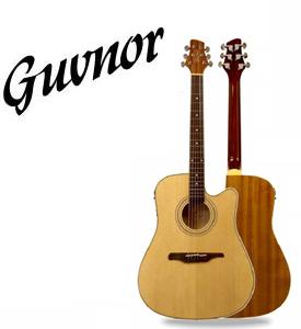 Guvnor guitar distribution Portugal