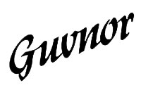 Guvnor Guitar International distributors