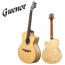 Guvnor guitar distribution France