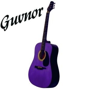 Guvnor guitar distributors Norway